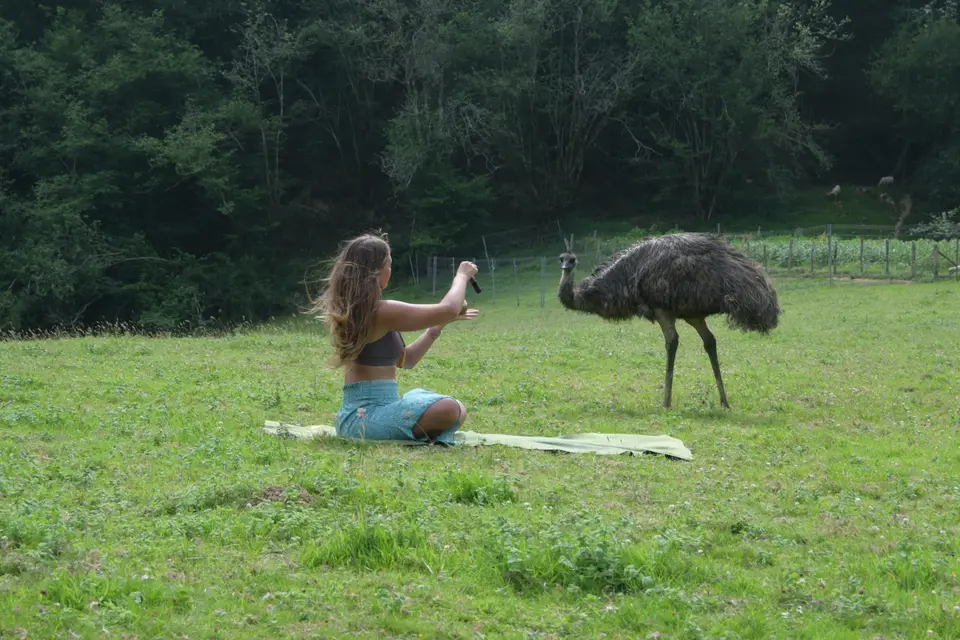 Una clase al aire libre en Galicia